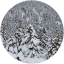 Praksitelis Asimakopoulos