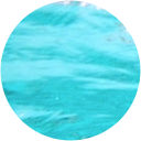 Simon Carrage Simon Carrage