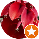 Carlos Juan Luna Di Pietro