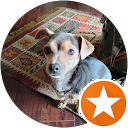 priscilla von Muehlen priscilla von Muehlen