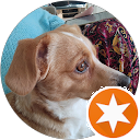 Rodzinka na Santorini Beata Adams