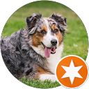 Luciana Callaghan Luciana Callaghan