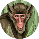 ทองลี แจ่มใส